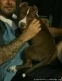 missing part of the family