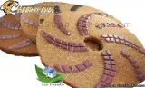 Eco Friendly Stone Polishing Pad Cheetah - Single Pad