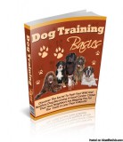 Are you looking for the quick and easy ways to train your dog
