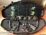 Zoe - Female Domestic Shorthair