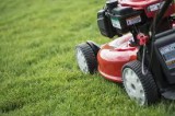 LAWN SERVICES.. gardening and lawn maintenance.