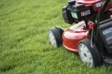 LAWN SERVICES.. gardening and lawn maintenance.