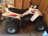 Yamaha raptor 350