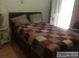 16-25982 -  Mastiff
