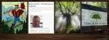 Augusta Tree Removal Service  The Arbory  Augusta  Entire CSRA