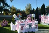 Penny s Party Props