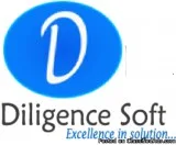 Result Oriented PPCQA Services In India- DiligenceSoft