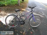 Free Spirit Fast Back by Christopher Metcalfe Creations