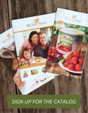 LBB Marketing