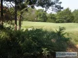 Patio vacant lot for sale - Gordonville TX