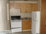 510 1 apt Gas included