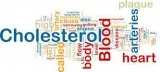 Cholesterol Research Study