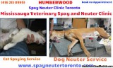 Mississauga Veterinary Spay and Neuter Clinic