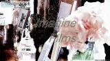 Wedding Videographer
