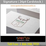 Special Offer Signature Business Cards Stock