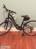 Women s Trek Verve 2