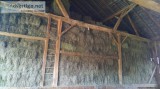 Hay For Sale  Orchard Grass  Horse Hay