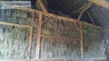 Hay For Sale  Orchard Grass  Horse Hay