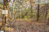Needle Cragg Road Landrum SC 29356