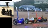 Electric Scooters