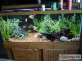 Aquariums for sale