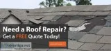 Bartelini Roofing and Repairs