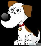Renae s Pet Services