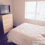 3685 1 bedroom in Battery Park City