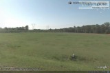 Houston County  Watson Blvd.