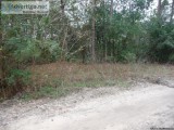Lot near 59 North  FM 1960- no restrictions