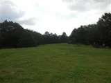 Table Rock Lake view 77 acres hunting woodedsome cleared acreage