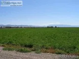 954 21 Rd Grand Junction Colo 81505