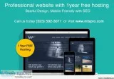 Professional  Affordable and Mobile friendly WEB design with 1 y