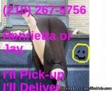 Need To Get Rid Of House Stuff Or Anything Stuff Call Me