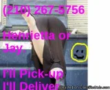 Need To Get Rid Of House Stuff Or Anything Stuff Call Me