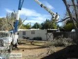 Tree Stump removal  Grinding  ValleyOrganic landscape Service 60