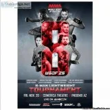 San Antonio World Series of Fighting 25 One-Night Tournament on 