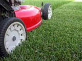 Gardening Services BILL S LAWN SERVICE