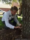 Arborist- RichmondTX- Affordable Prices