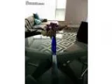 495 Two room for rent in Vancouver Area