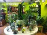 Business For Sale Profitable Upscale Floral and Plant Design Stu