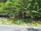 1 2 acre buildable lot in Pine Ridge Community (Bushkill PA)