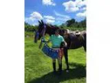 Beautiful HunterJumper for sale