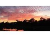 Tybee Vacation Cottage - Cottage