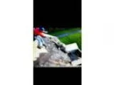 Roofing Tuckpoing Free estament