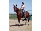 Adopt Faith a Arabian