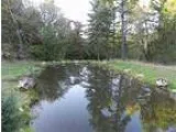 16.380000 acres of land for sale in Glide Oregon United States