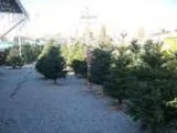 Commercial for Sale in Sun Valley Nevada