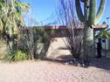 3-plex in gentrifying South Scottsdale area