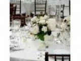 Business Opportunity for Sale Business Op and Real Estate - Ann